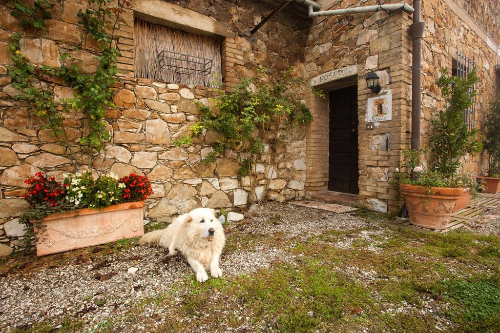 Wine Resort Colsereno مونتالشينو المظهر الخارجي الصورة