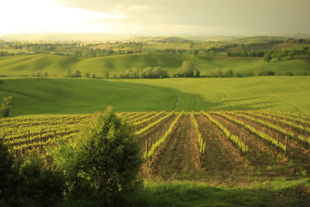 Wine Resort Colsereno مونتالشينو المظهر الخارجي الصورة