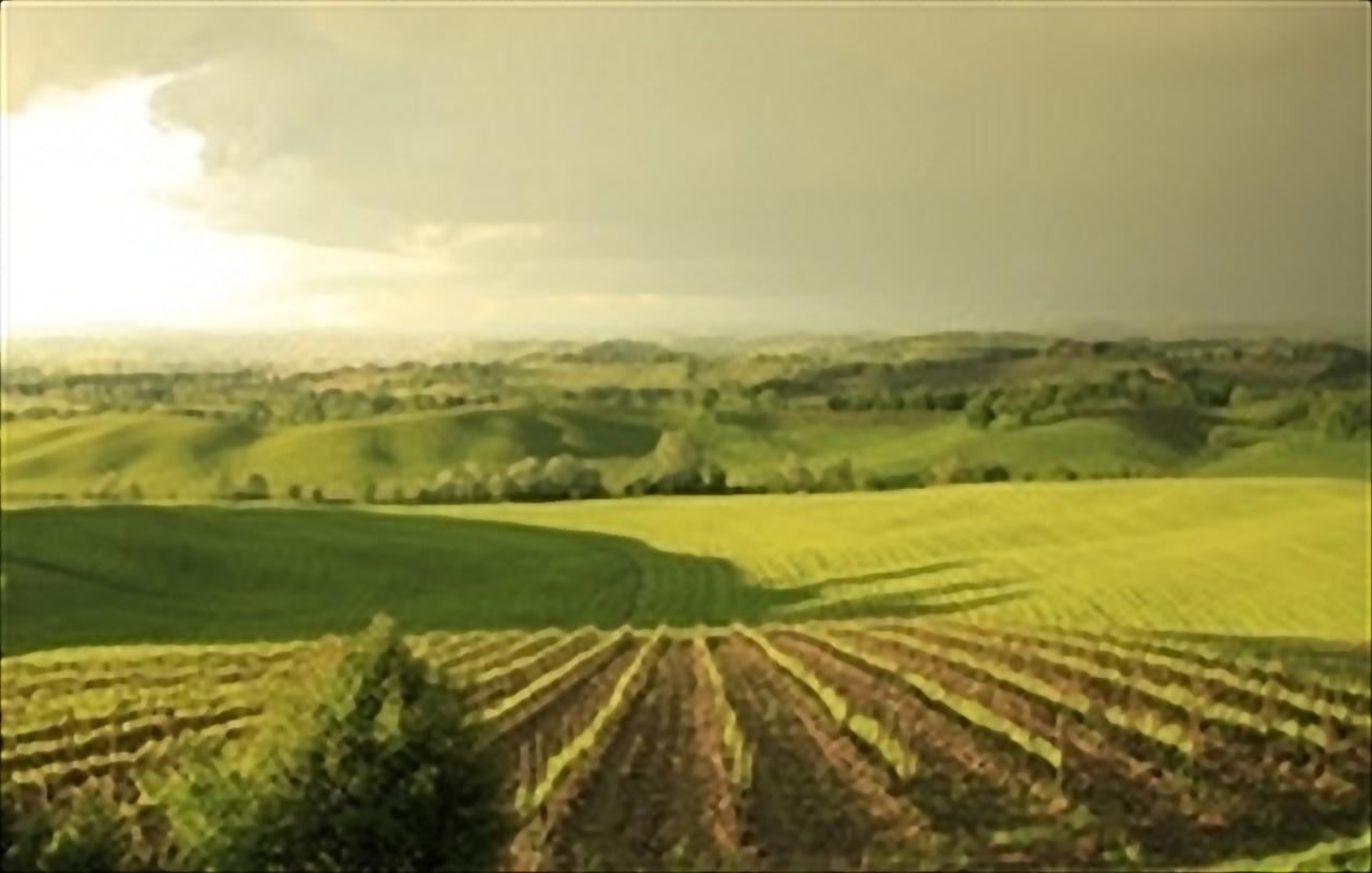 Wine Resort Colsereno مونتالشينو المظهر الخارجي الصورة
